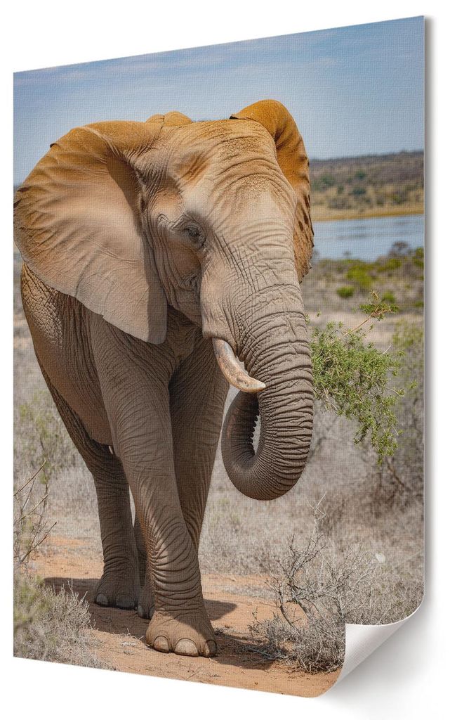 Elefantengang- Kunstdruck A4 - Modern, rustikal- Wandbild für Wohnzimmer Schlafzimmer & Flur, Modernes Poster Wanddeko, Ungerahmt