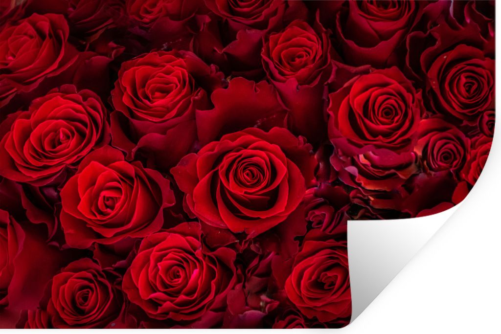 MuchoWow - Wierderverwendbar - Selbstklebend