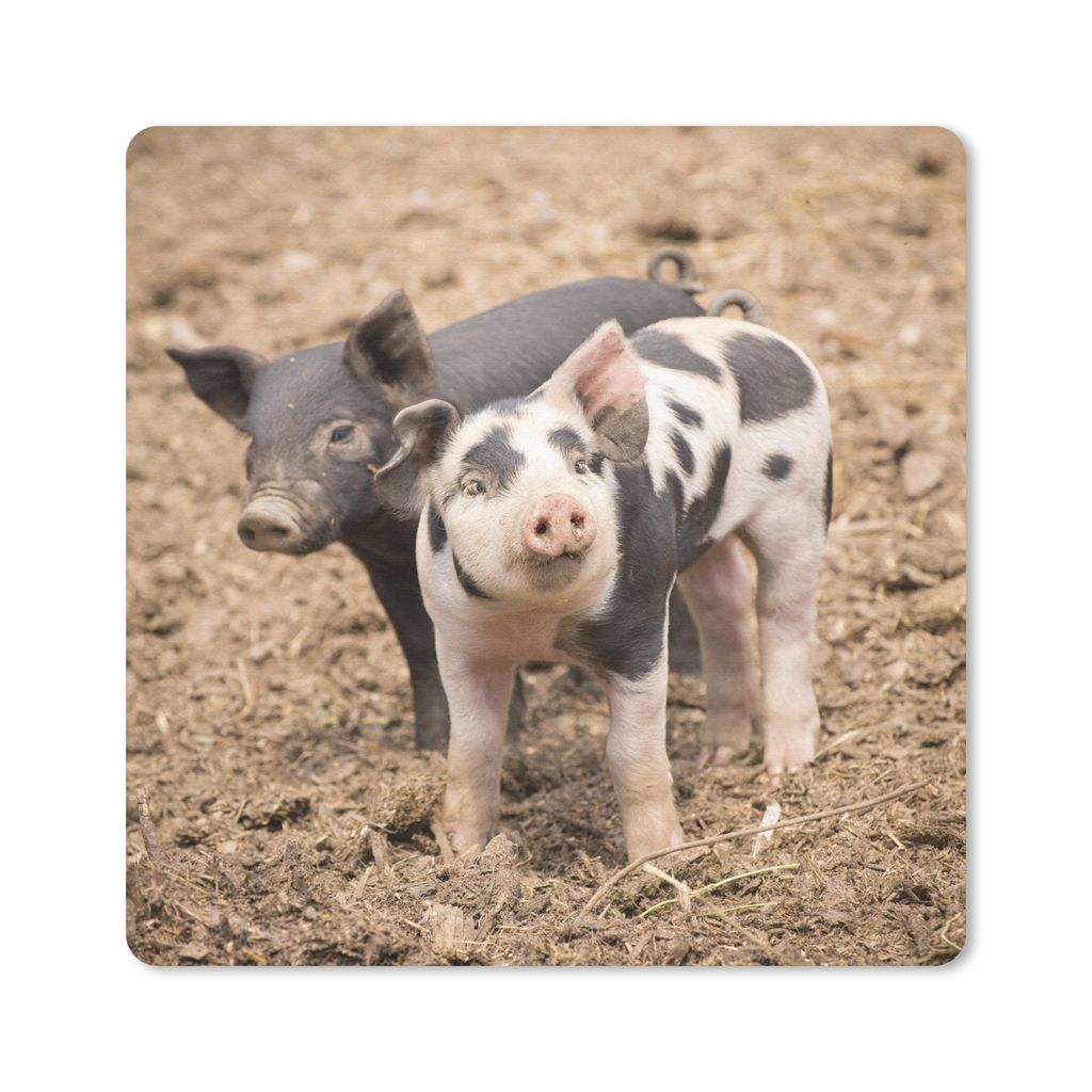 MuchoWow Mauspad Mousepad Tiere - Schwein - Bauernhof 20x20 cm - Mousepads - Maus Mat - Pad - Mausunterlage - Desk Mat - Bureauartikeln