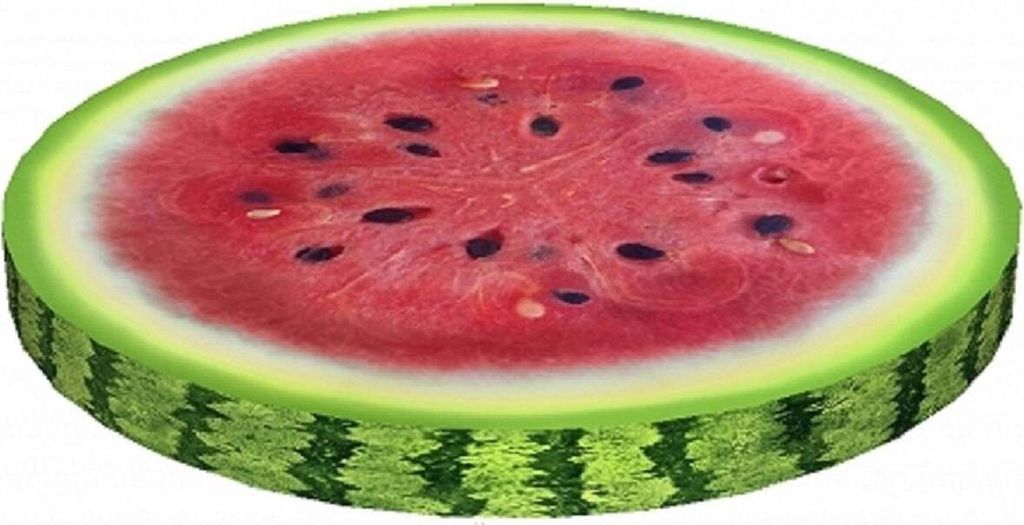 Stuhlkissen RING »Wassermelone« PH09 Produktbild 
