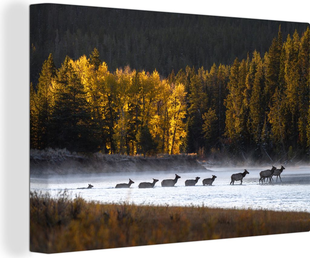 OneMillionCanvasses - Leinwandbilder - 140x90 cm, Hirsch - Wald - Fluss, Wandbilder Kunstdruck Wanddekoration