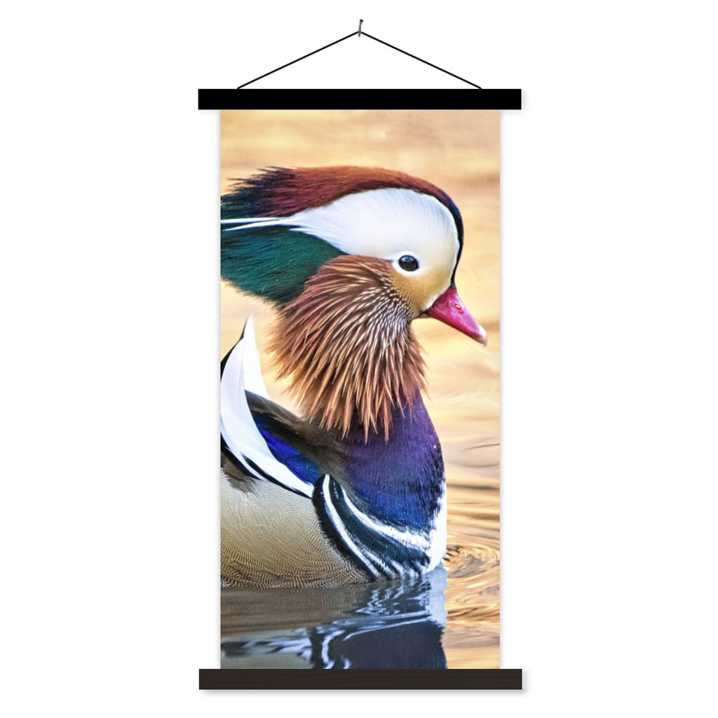 MuchoWow Textilposter Ente - Wasser - Tier 40x80 cm mit schwarzem Rahmen - Wandemalerei