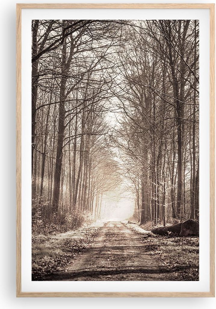 Gerahmtes Poster - Rahmen in heller Eiche - Wald Straße Baum - 61x91,5 cm - Wand Bild - Wanddeko - Wandbilder - Kunstposter - Wandposter - Bilderr...