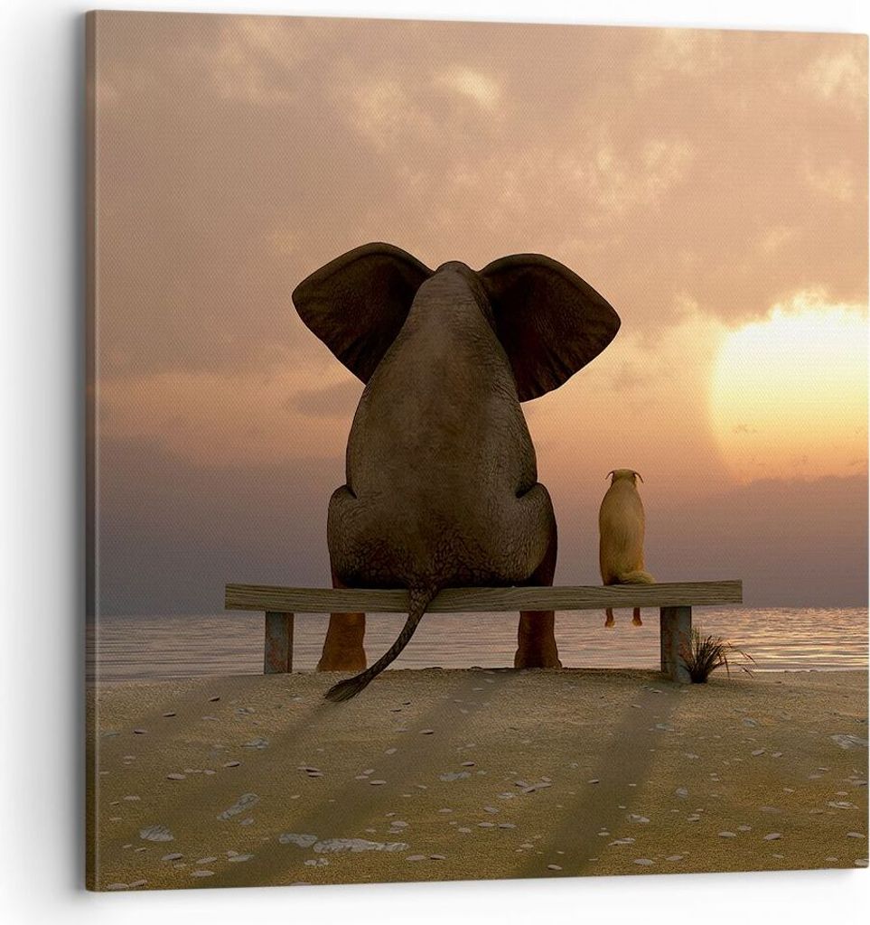 Bild auf Leinwand - Leinwandbild - Elefant Ufer Meer - Produktbild 