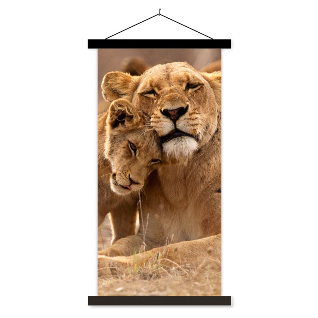 MuchoWow Textilposter Löwe - Wilde Tiere - Jungtier 40x80 cm mit schwarzem Rahmen - Wandemalerei