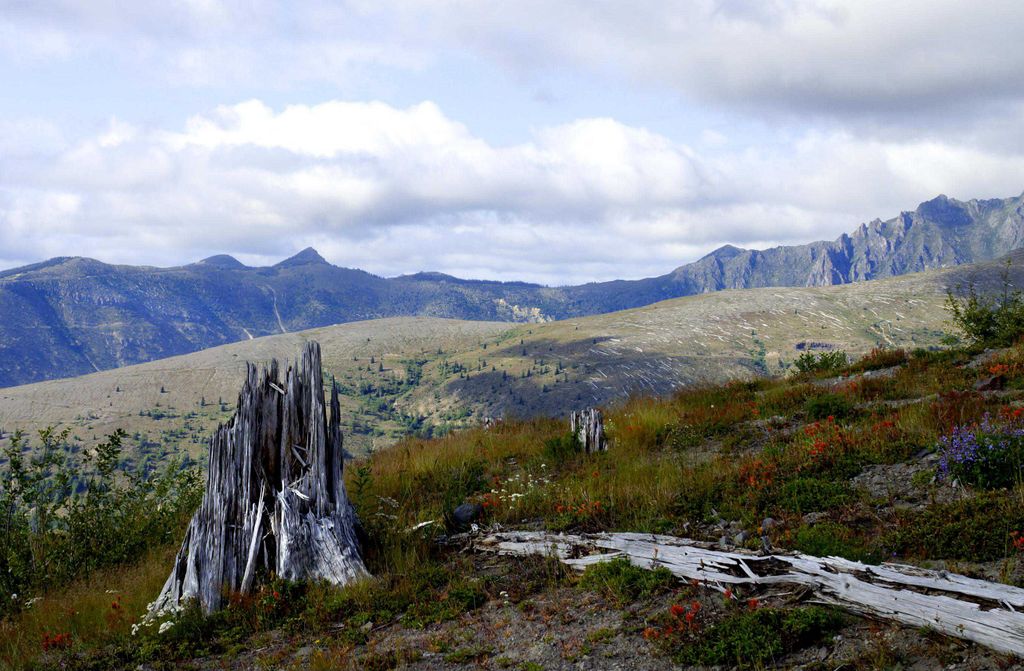 hansepuzzle 14093 - Mount St Helens Puzzle, 500 Teile, Natur, 46,0 x 30,0cm mit hochwertiger Aufbewahrung, Kartonbox und wiederverschließbarem Beutel