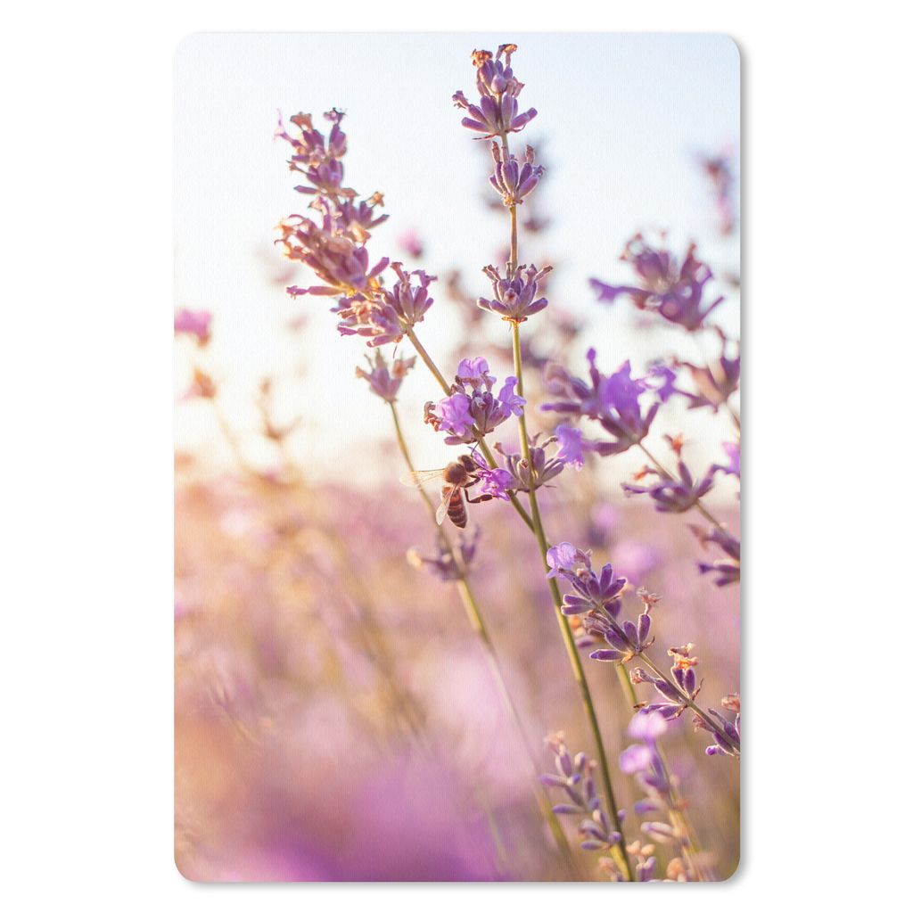 MuchoWow Mauspad Mousepad Lavendel - Nahaufnahme - Sonne - Blumen - Lila 40x60 cm - Mousepads - Maus Mat - Pad - Mausunterlage - Schreibtisch Acc...