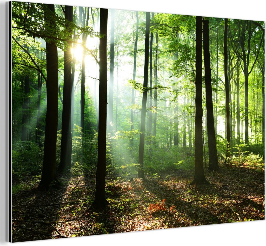 MuchoWow Wanddekoration Metall Metallbild Wandkunst 90x60 cm Wald - Sonne - Laub MuchoWow Aluminium Gemälde - Wandbilder