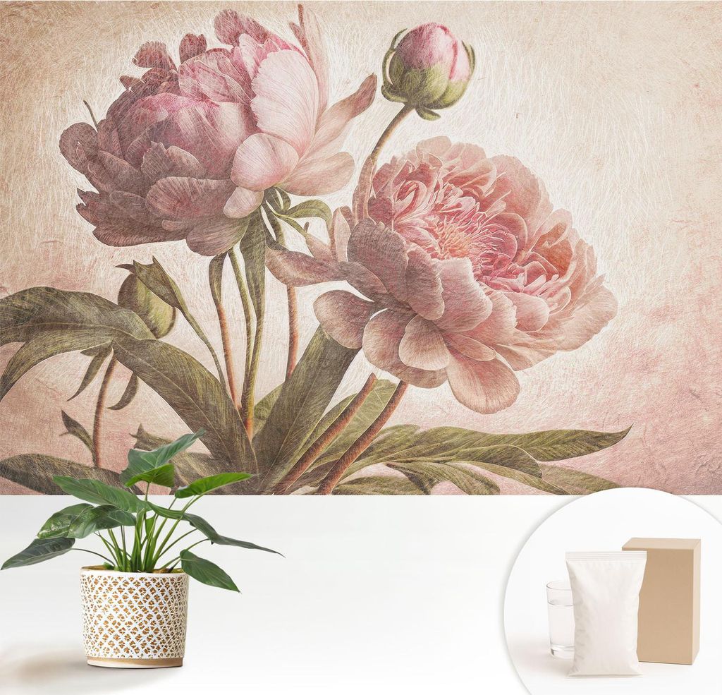 Fototapete - 152x104 cm - Tapete - Wandtapete - Wandbilder - Dekofolie - Tapete Folie - Wand - Dekoration - Wohnzimmer - Zarte Pfingstrosen