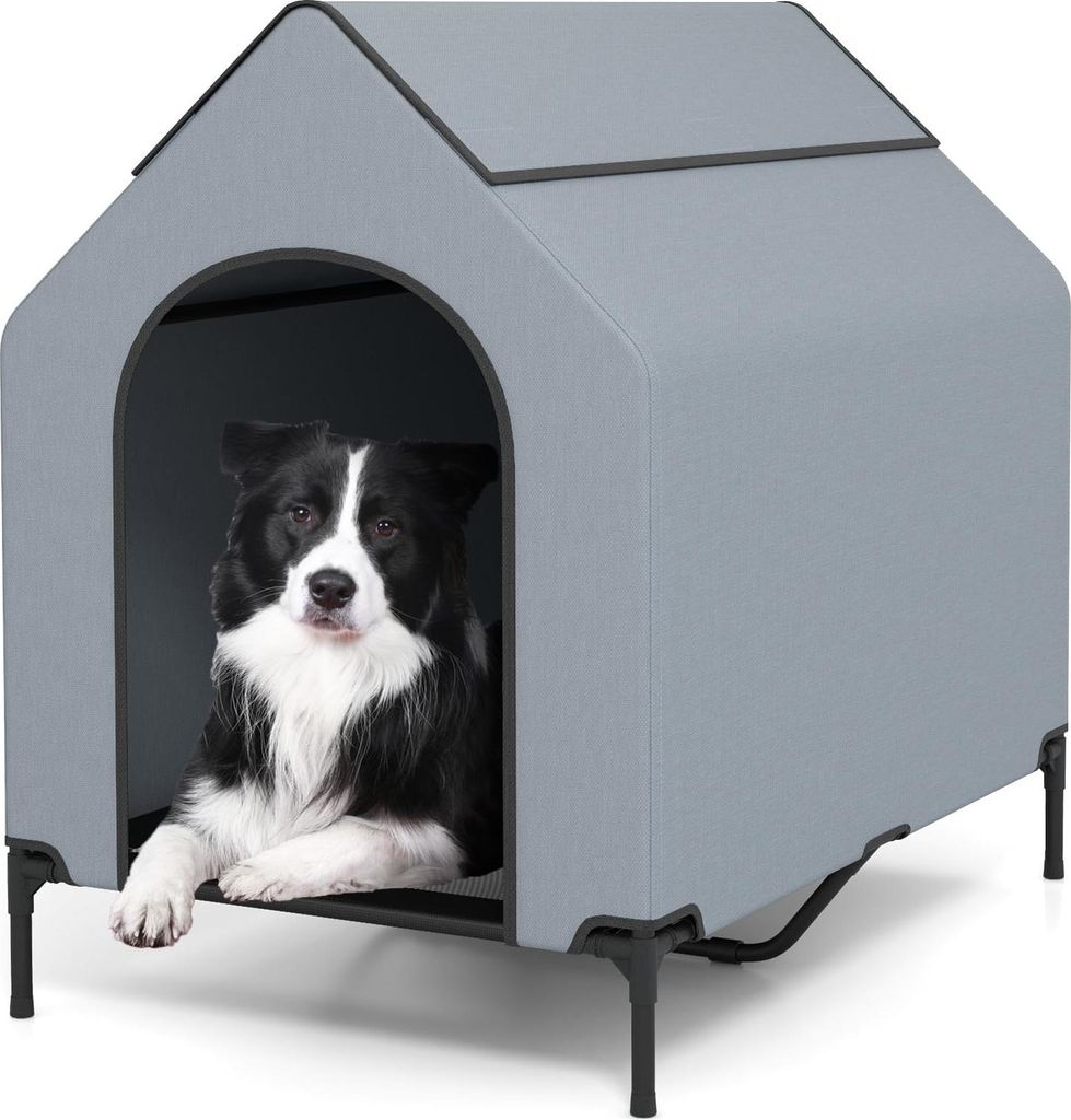 GOPLUS 2 in 1 Hundebett & erhöhte Hundehütte, Haustierbett Produktbild 