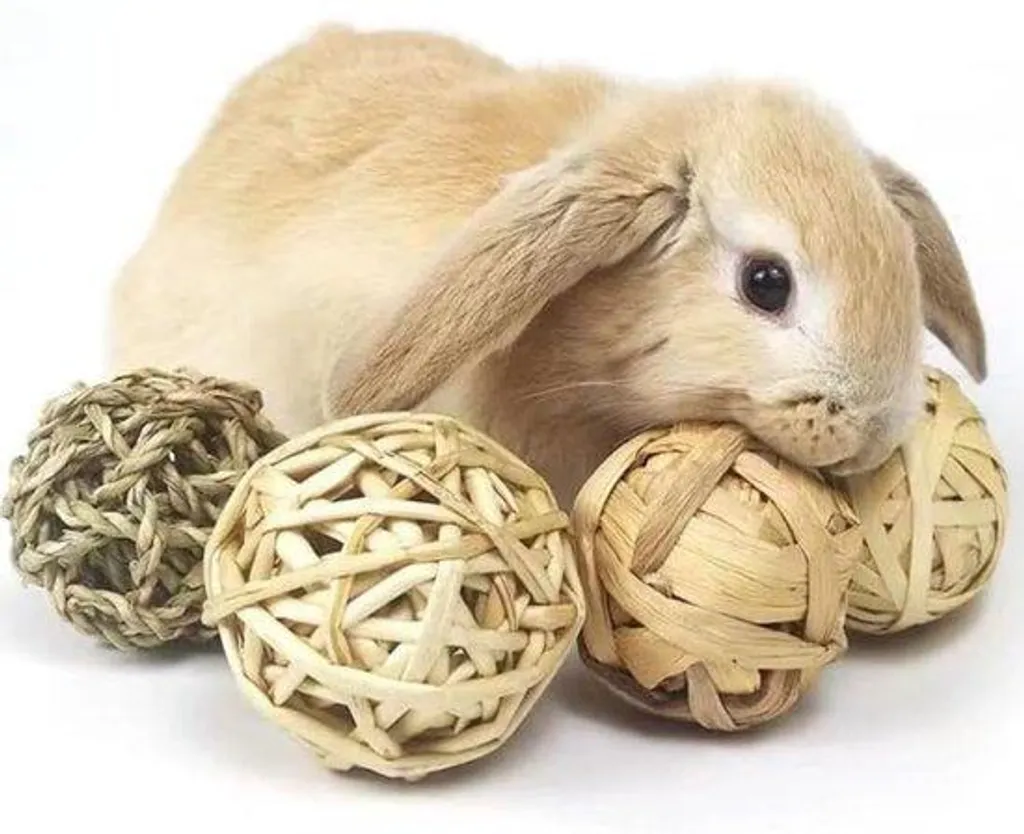 Jouets d'activité pour rongeurs : lot de 9 balles à ronger et à rouler