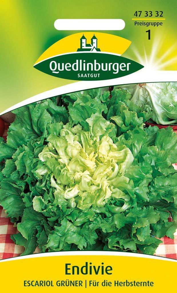 Artikelbild 1 von 'Endivie Escariol grüner' aus der Kategorie Endiviensalatsamen