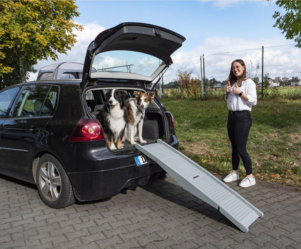 Hunderampe Emma belastbar bis 40kg Tiereinstiegshilfe für Produktbild 5