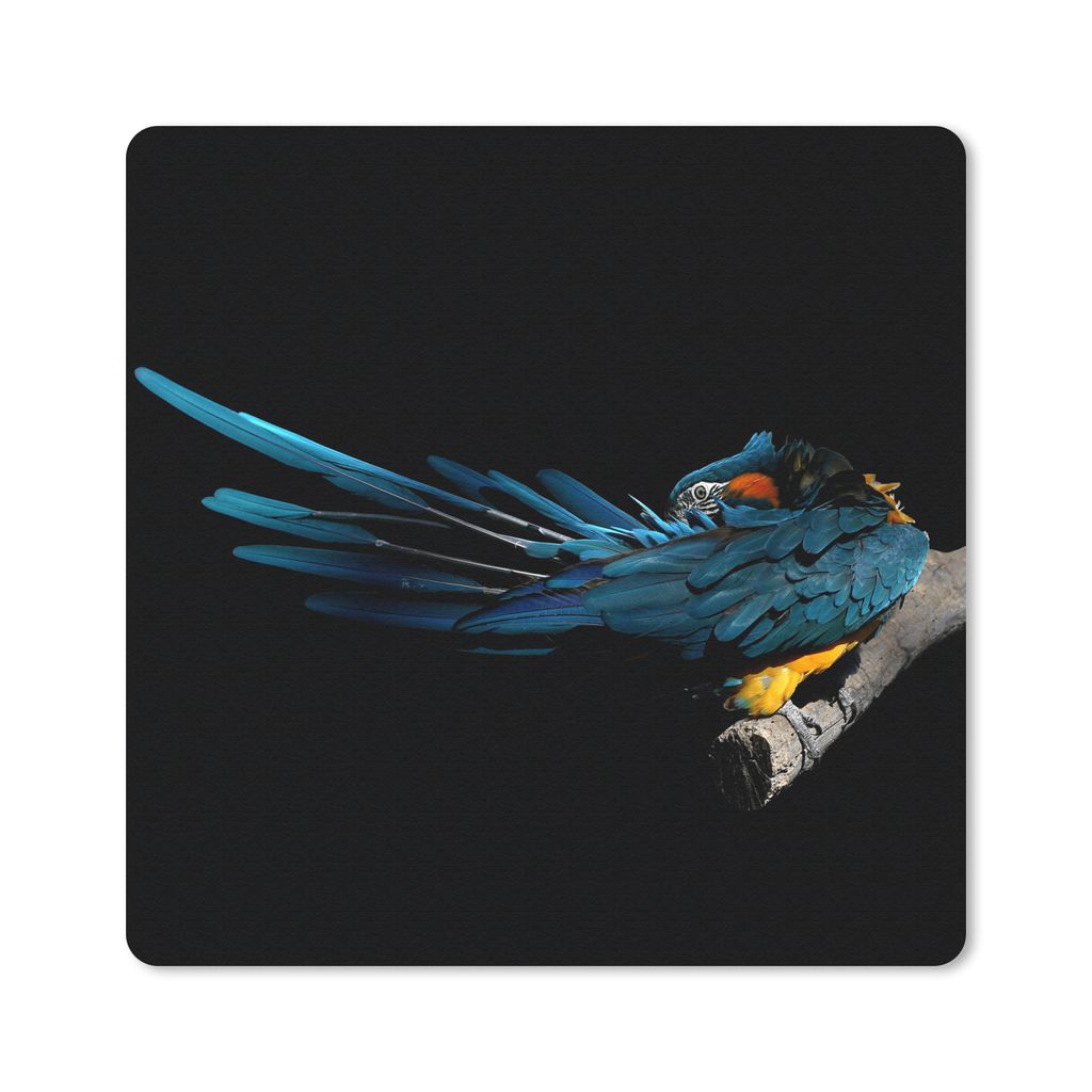 MuchoWow Mauspad Mousepad Vogel - Federn - Zweig - Schwarz 20x20 cm - Mousepads - Maus Mat - Pad - Mausunterlage - Desk Mat - Bureauartikeln