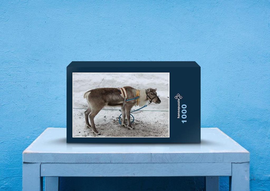 hansepuzzle 70011 - Rentier Puzzle, 1000 Teile, Tierwelt, 60,0 x 46,0cm mit hochwertiger Aufbewahrung, Kartonbox und wiederverschließbarem Beutel