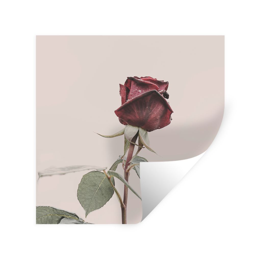 MuchoWow Wandtattoo Wandsticker Wandaufkleber Blumen - Rot - Rosen - Grün 100x100 cm Selbstklebend und Repositionierbar - Wierderverwendbar - Se...