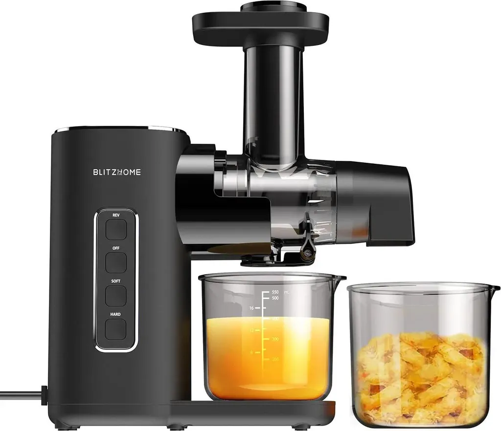 Extracteur de jus Slow Juicer pour jus frais de légumes et fruits sains