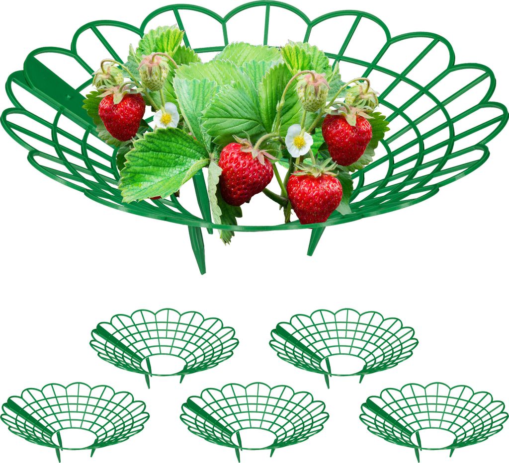 Relaxdays Maturatore per fragole, set da 6, protezione Immagine del prodotto 