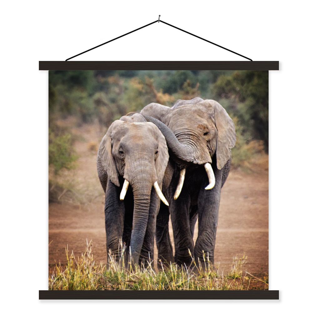 MuchoWow Textilposter Elefant - Tiere - Bäume - Natur 60x60 cm mit schwarzem Rahmen - Posteraufhänger