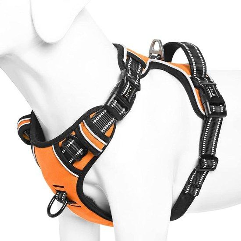 Reflektierend Gewatteert Hundehalsband mit Handgriff für Hundewandern - Orange
