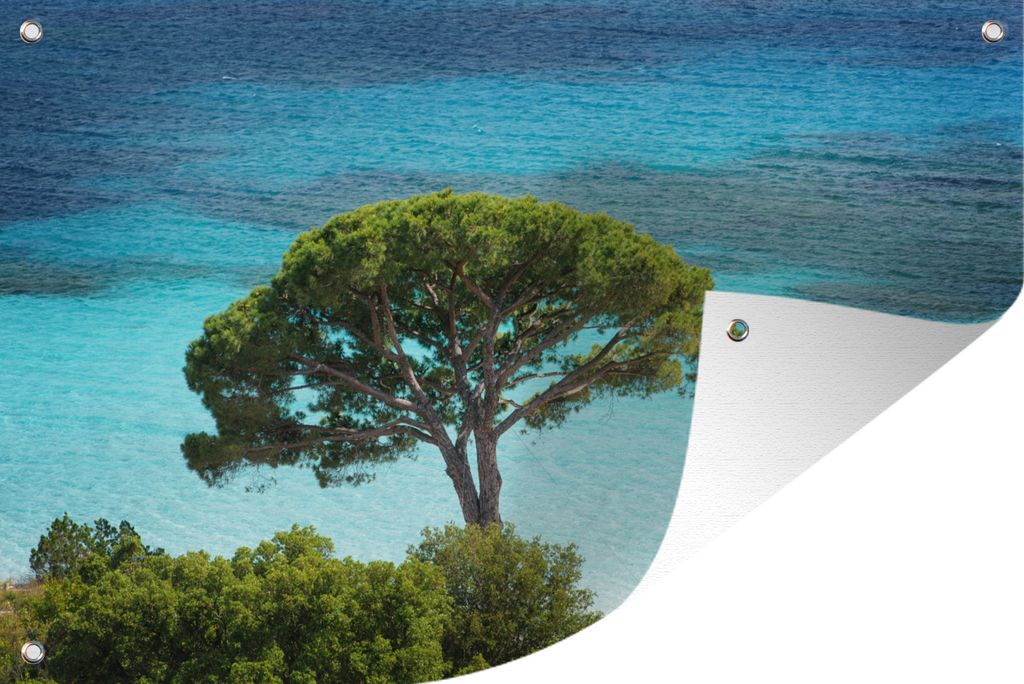 MuchoWow 90x60 cm Outdoor-Poster Gartendeko Sichtschutz Garten Poster für den Garten Keltischer Strand auf Korsika