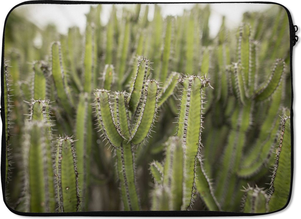 MuchoWow Laptop Hülle 14 ZollGruppe von Kaktuspflanzen Laptoptasche - Laptoptasche - Stoßsicher - Schutzhaube