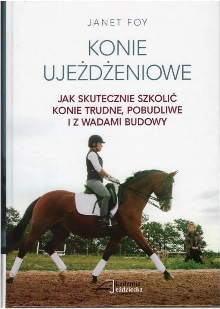 Chevaux de dressage : comment entraîner efficacement vos montures - Guide