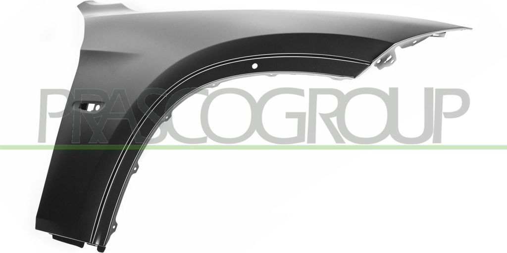 PRASCO BM7023013 - OE 41002993156 Kotflügel, vorne rechts für X1 (E84)