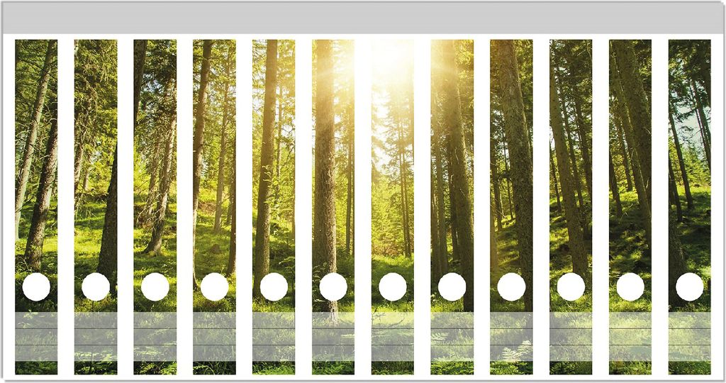 Wallario Ordnerrücken Sticker, selbstklebend für schmale Ordner, 12 Stück, Motiv Sonnenstrahlen im Nadelwald mit Moos und Farn