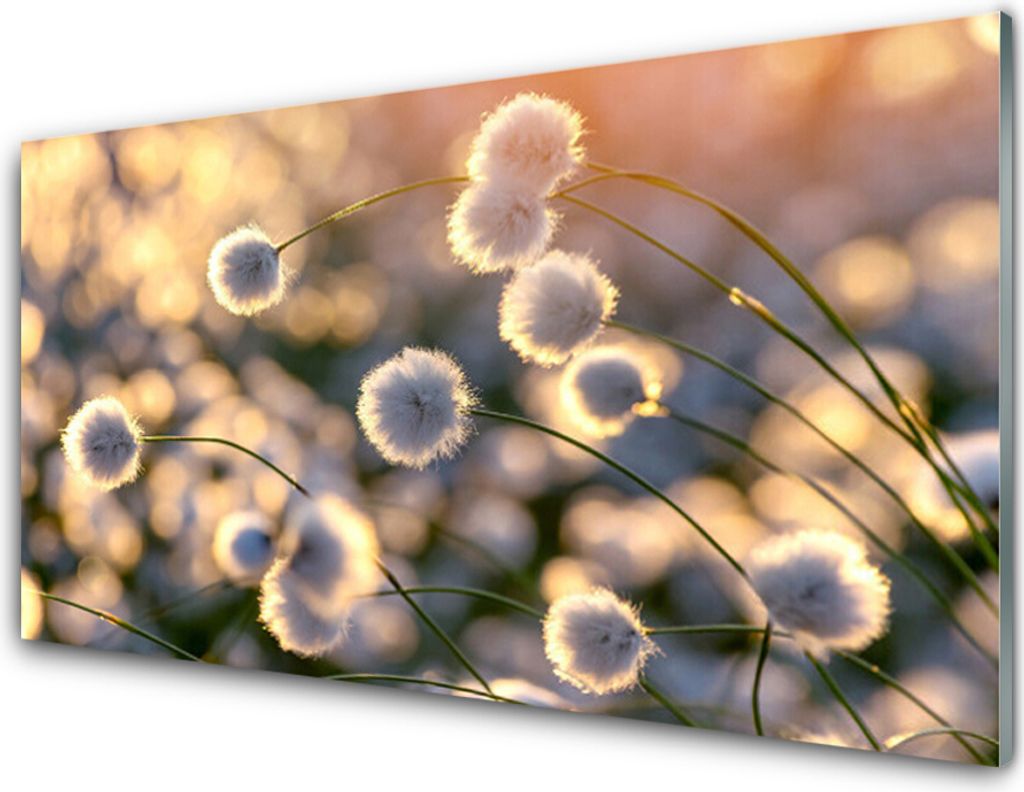 Acrylglasbilder 100x50 Wandbild Druck Blumen Pflanzen