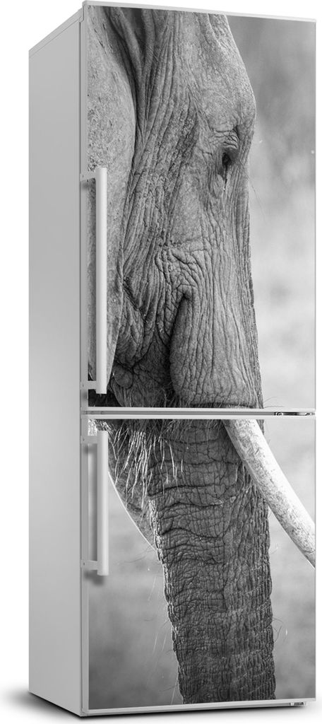 Tulup Kühlschrankdekoration - 70x190 cm - Aufkleber auf dem Kühlschrank - Elefant