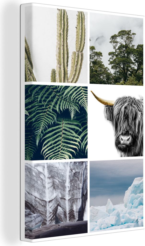 OneMillionCanvasses - Leinwandbilder - 90x140 cm, Schottisches Hochlandrind - Collage - Kaktus - Pflanzen, Wandbilder Kunstdruck Wanddekoration -...