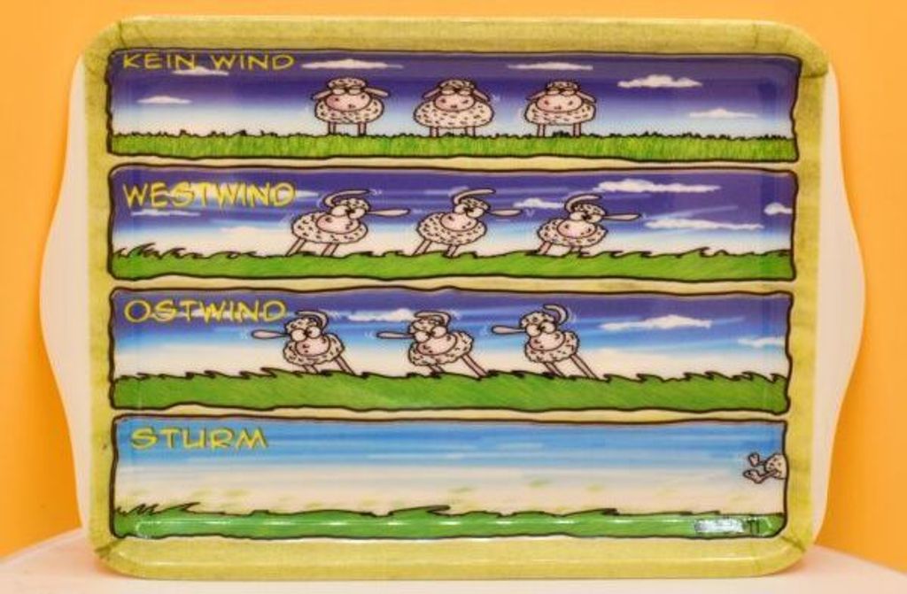 Lustiges Tablett Wissensdurst Hösti Maritimer Dekoartikel Spaß witzig ca. 21 x 14,5 cm.