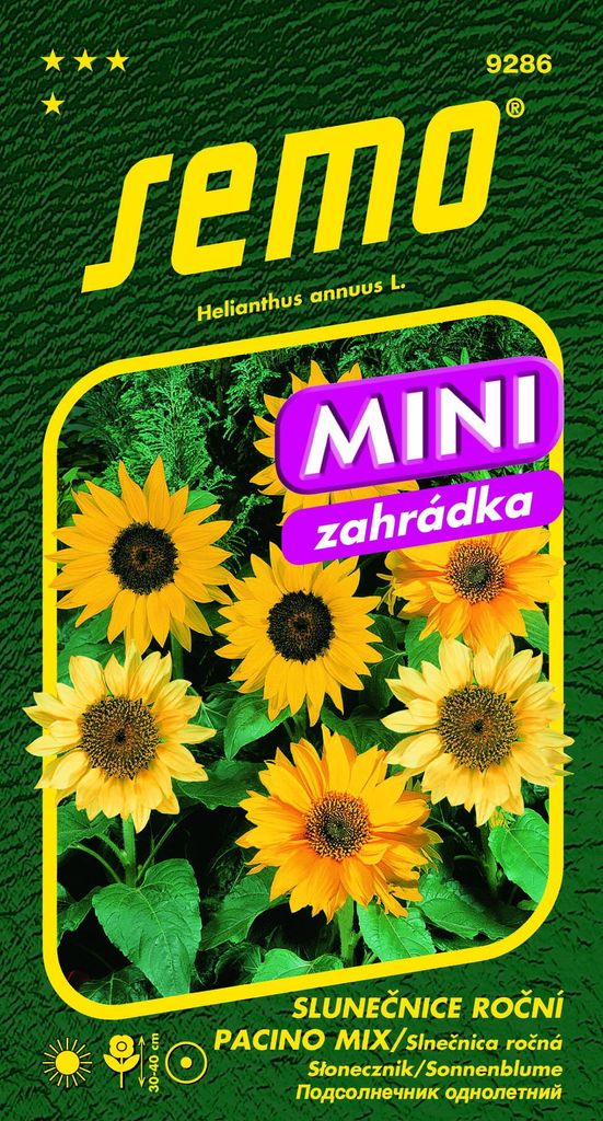 Semo Sonnenblumen einjährig - Pacino-Mischung (Zwergmischung)15s - Mini-Serie