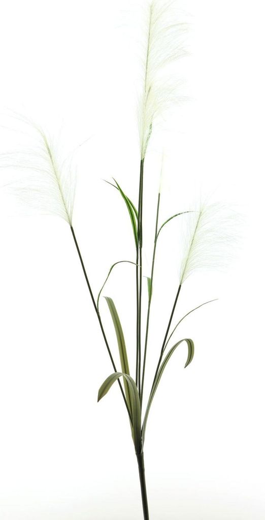 artplants.de Kunstzweig Pampasgras Linen mit Rispen, weiß, 145 cm - Deko Pampas Rispe