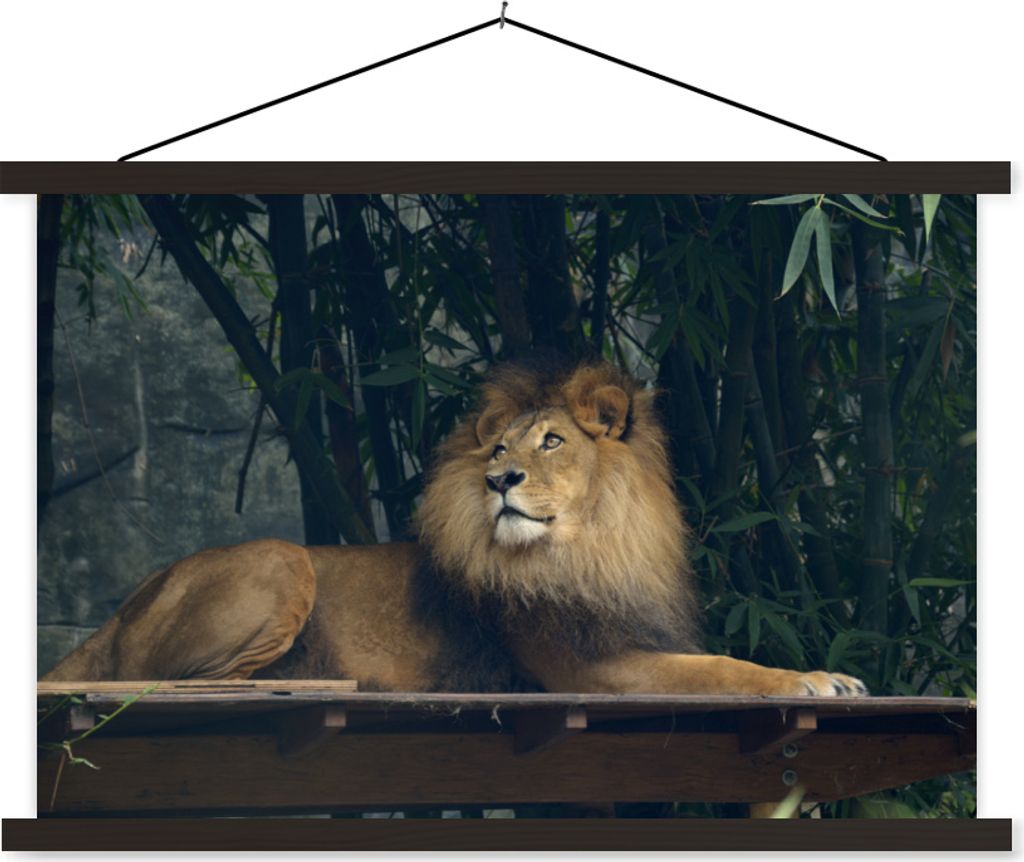 MuchoWow Textilposter Löwe - Wald - Wild 60x40 cm mit schwarzem Rahmen - Hölzernes