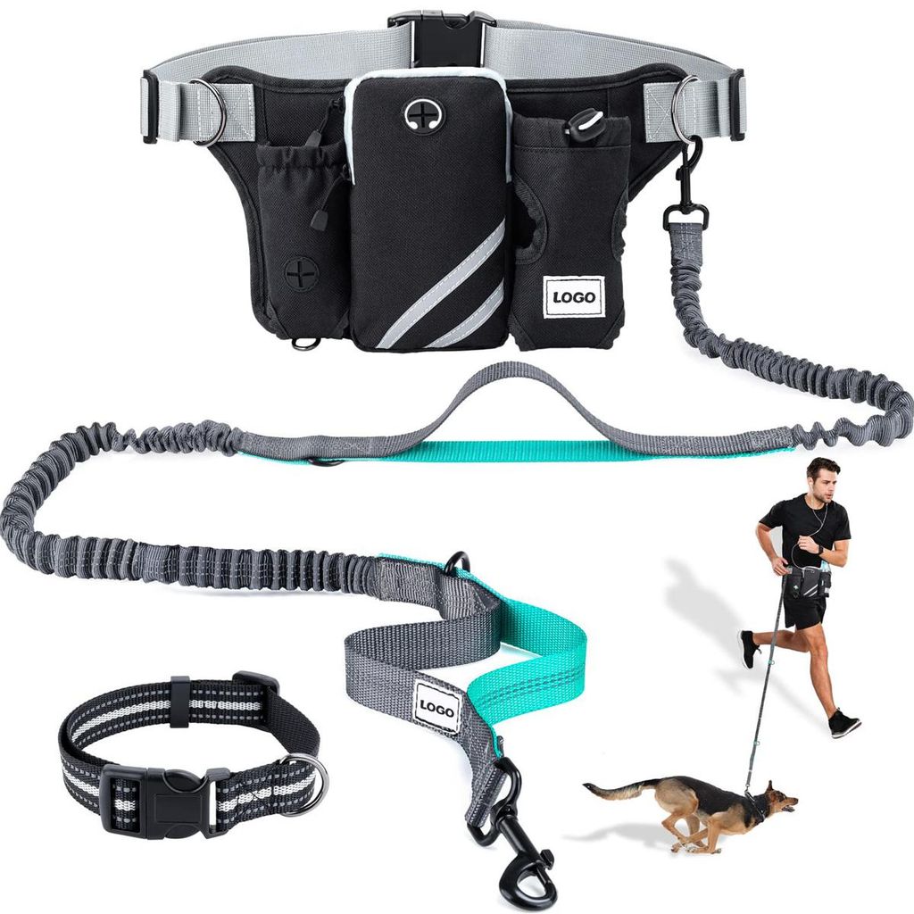 Freihandleine Hund mit Hüftgurt, doppelte elastische Hundeleine für 2 Hunde, reflektierend Joggingleine mit Tasche, verstellbar
