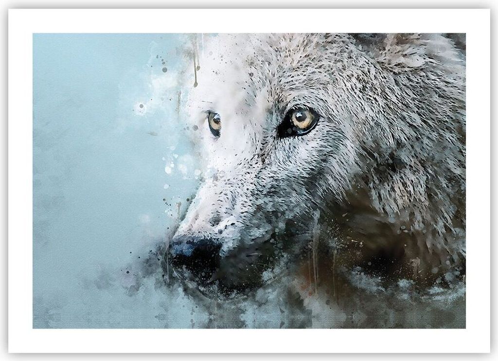 Poster - Poster ohne Rahmen - Weiß Der Wolf Bild - 70x50 cm - Wand Bild - Wanddeko - Wandbilder - Kunstposter - Wandposter - Bilder - Kunstdruck -...