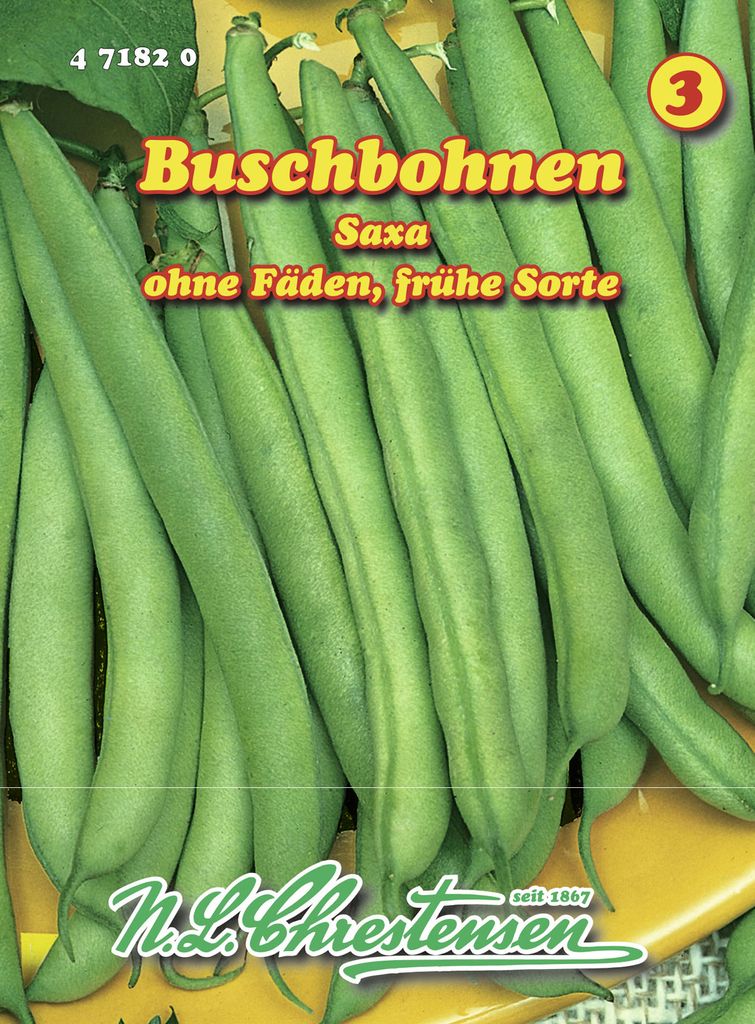 Buschbohne Saxa | Buschbohnensamen von N.L. Chrestensen Produktbild 