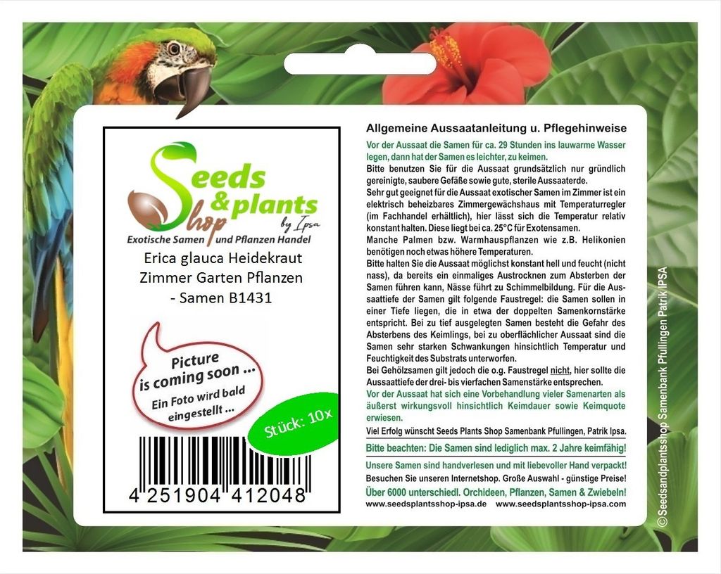 10x Erica glauca Heidekraut Zimmer Garten Pflanzen - Samen B1431