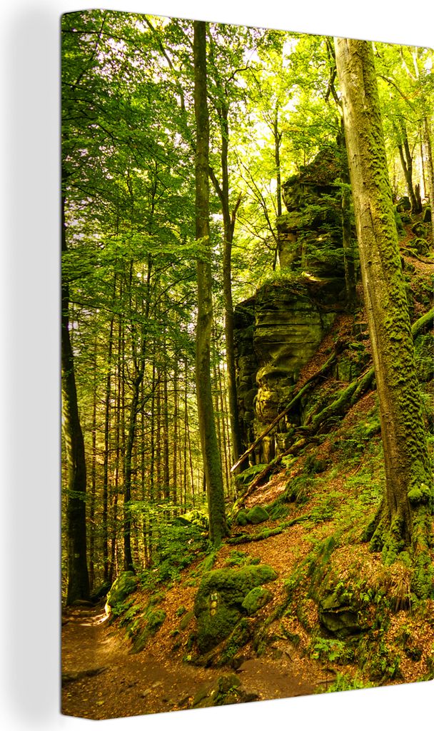 OneMillionCanvasses - Leinwandbilder - 90x140 cm, Bäume - Stein - Wald - Natur - Pflanzen, Wandbilder Kunstdruck Wanddekoration - Foto auf Leinw...