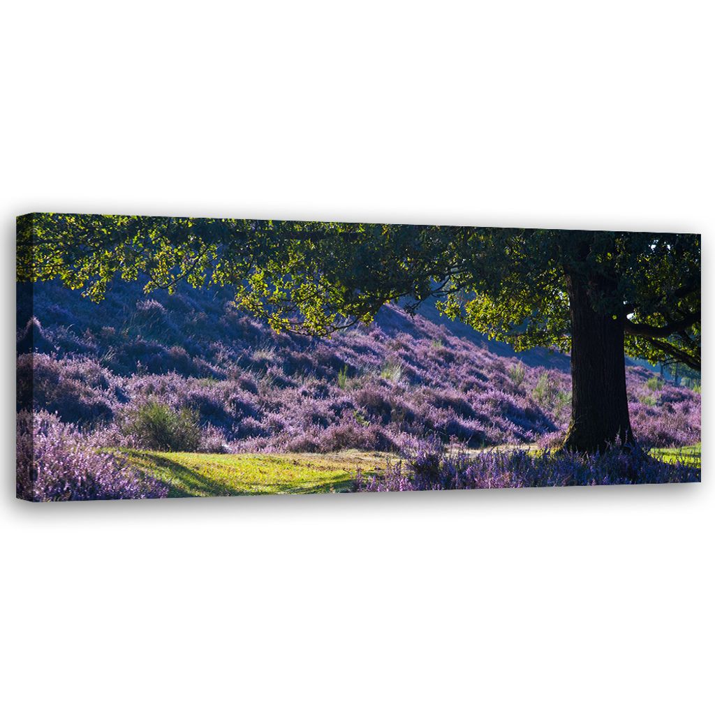 Leinwandbild Lavendel in der Provence 120x40 Feeby Violett bild für die wand bereit zum aufhängen