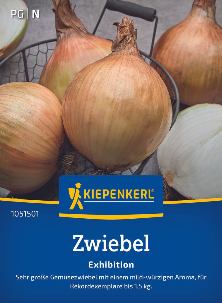Kiepenkerl Zwiebelsamen Exhibition Allium cepa 8-10 lfd. Produktbild 