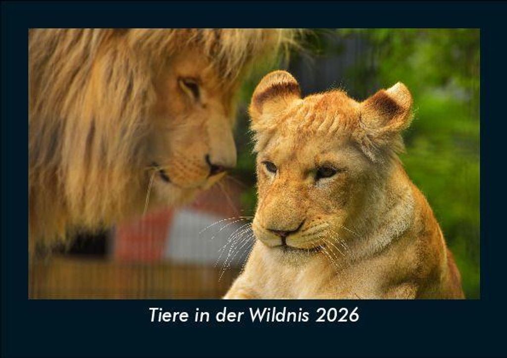 Tiere in der Wildnis 2026 Fotokalender - Querformat DIN A5, Monatskalender mit Bild-Motiven von Haustieren, Bauernhof, wilden Tieren und Raubtieren
