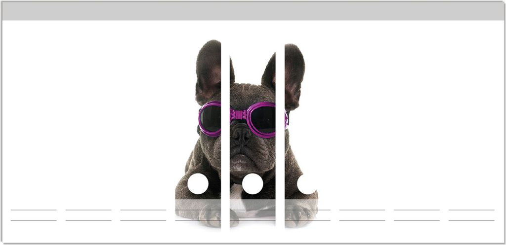 Wallario Ordnerrücken Sticker, selbstklebend für breite Ordner, 9 Stück, Motiv Cooler Hund mit Sonnenbrille in pink - Französische Bulldogge