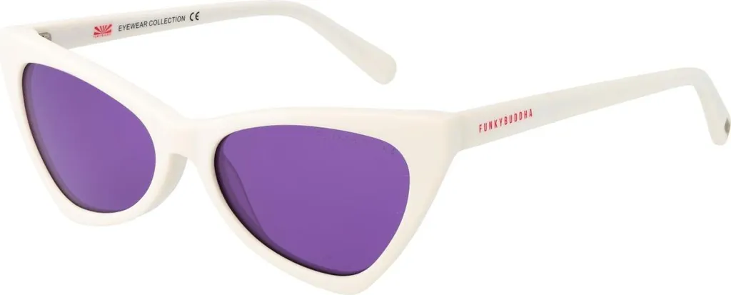 Lunettes de soleil Funky Buddha FBS2023 003 52 - Style vintage chic
