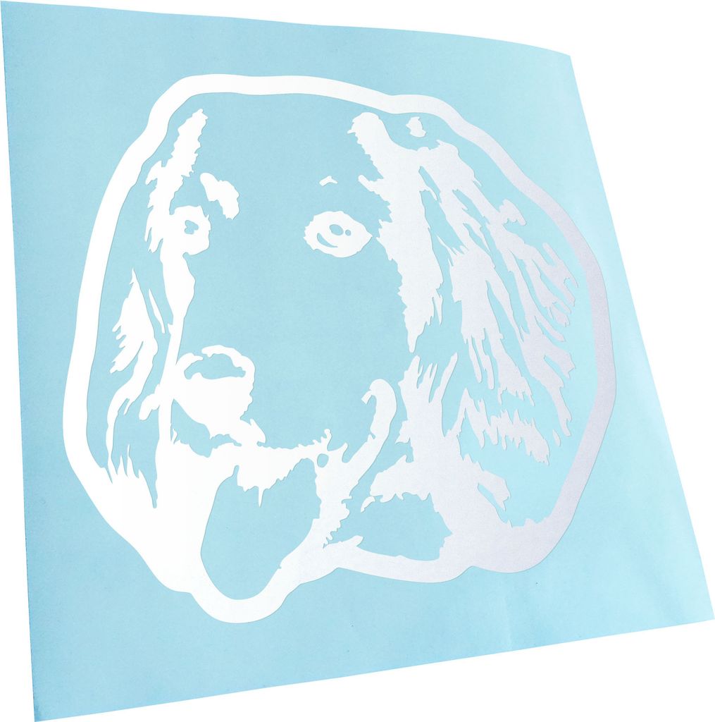 Kiwistar - Autoaufkleber - English Cocker Spaniel Dog Hund - Gold - 60x55cm - Aufkleber für Auto, Laptop, Fahrrad, LKW, Motorrad Mehrfarbig JDM De...
