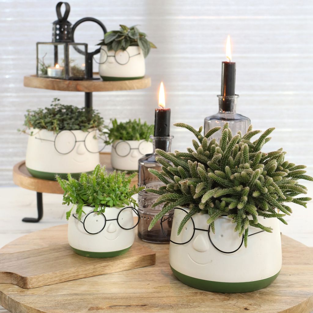 Blumenübertöpfe aus Keramik in witzigem Design - Produktbild 