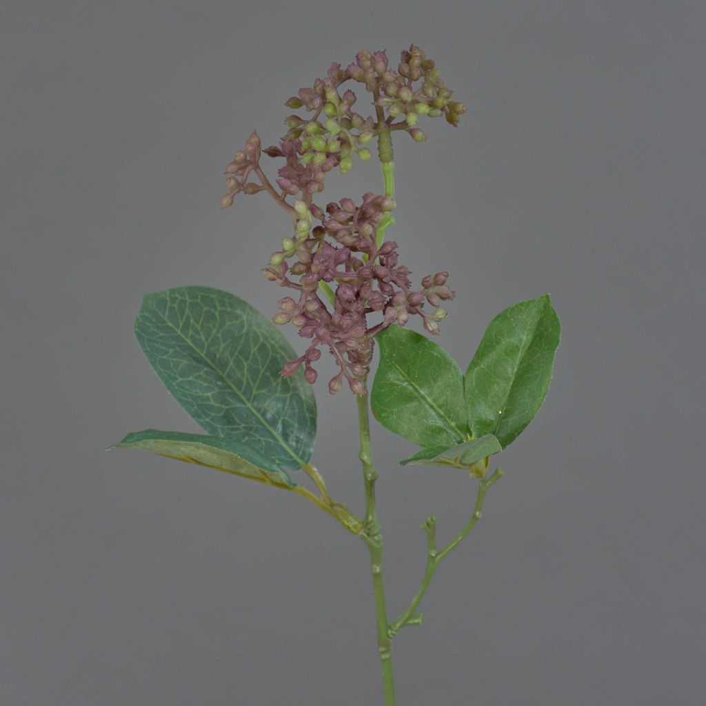 artplants.de Deko Zweig Lorbeerschneeball Zweig LAZAROS, rot, 35cm, Ø 5cm - Kunstblume