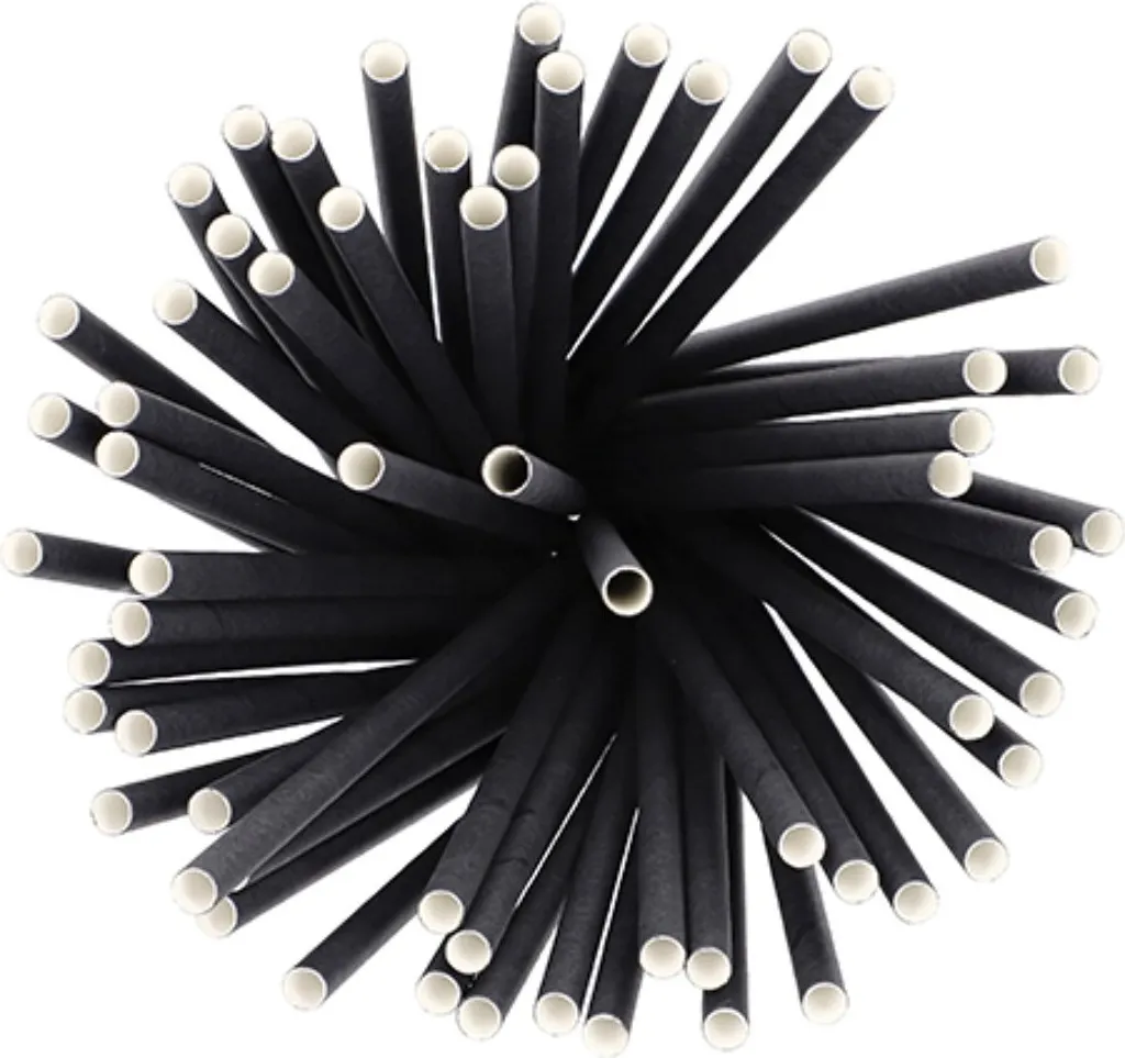 Lot de pailles noires en papier 25 cm pour bars de fête et réceptions